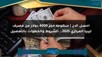 احصل الآن | منظومة حجز 4000 دولار من مصرف ليبيا المركزي 2025.. الشروط والخطوات بالتفصيل